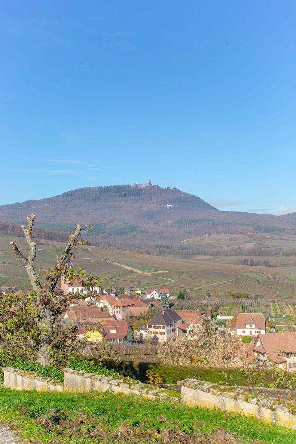Gite La Rodernelle - Sauna Privatif - Climatisation - Vue Sur Le Chateau Du Haut Koenigsbourg Exterior photo
